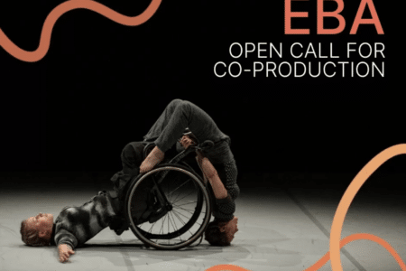 Europe Beyond Access: Open Call for Co-Productions