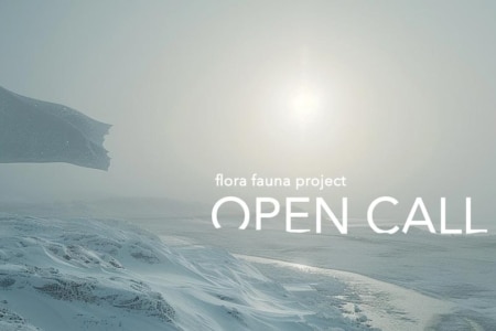 Flora Fauna Project Open Call
